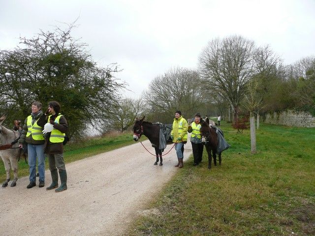 Loire propre 2014 (11).jpg